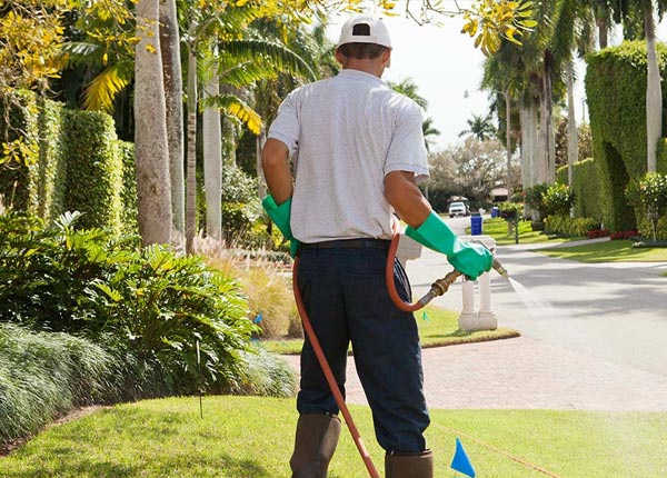 About Cape Elizabeth ME Pest Control Pros